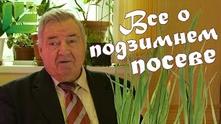 Подзимний посев овощей и других растений. Как правильно проводить посев осенью.│ Башинком