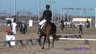179D Honey Beeman on Releve' SR Beginner Novice Dressage FCHP November 2014