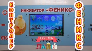 Феникс контролер