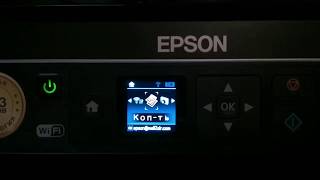 Проблема с принтером EPSON XP-342 при первом включении