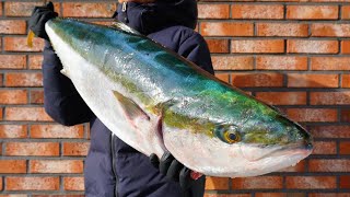 '대방어' 직접 잡아서 '특수부위' '대방어국수' 먹방 [Catch and cook Yellowtail]