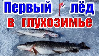 ПЕРВЫЙ ЛЕД в ГЛУХОЗИМЬЕ  Зимняя рыбалка 2020, февраль. Печенежское водохранилище, Кулаковский залив