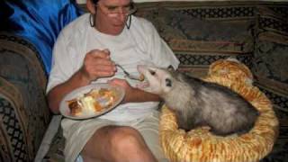 possum posse orchid's life