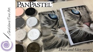 LIVE DEMO || PanPastel Cat Eyes and fur and 3 PanPastel Give-aways