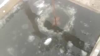 Аэрация нижнего пруда. Сухая липовица.