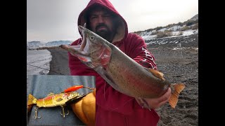 Pyramid Lake,NV Fishing and Robotic Fishing Lure Review