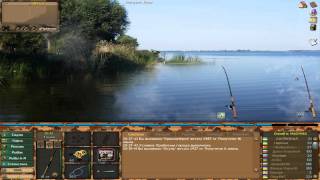 Хороший заработок для новичков в Fantastic Fishing