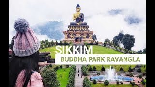SIKKIM Travel Vlog 2019 | Part 3 | Happy Camper | Pelling | Buddha Park Ravangla | Ralang Monastery