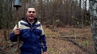 Мир дикой природы. Восточное Полесье.