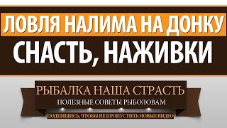 ЛОВЛЯ НАЛИМА на ДОНКУ - СНАСТЬ, НАЖИВКИ