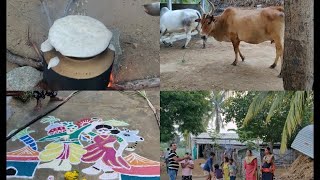 Mattu Pongal Celebration vlog/Pongal Celebration Vlog/இது எங்க ஊரு பொங்கல்