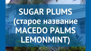 SUGAR PLUMS (старое название MACEDO PALMS LEMONMINT) 2* обзор