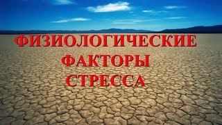 3.  Физиологические факторы стресса