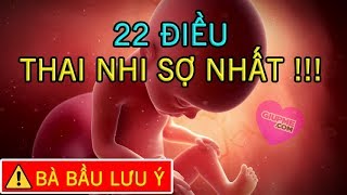 22 Điều Thai Nhi Sợ Nhất Bà Bầu Cần Biết Khi Chăm Sóc Thai Nhi [GiupMe.com]