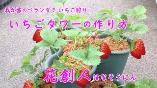 いちご狩りからベランダ栽培へ！【いちごタワーの作り方&育て方】8分動画／花創人はなそうにん岐阜愛知寄せ植えハンギングバスケット教室