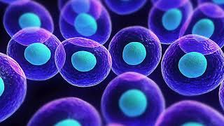 Electricity, Water, Life, and the Cosmos | Space News