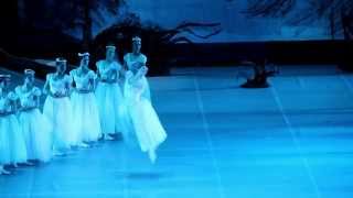Дарья Макарова / Александр Пятовский "Жизель"