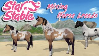 Star Stable Online - Mixing Horse Breeds