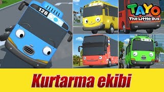 Tayo'nun arkadaşları ile tanışın l Şehrin otobüsleri l KÜÇÜK OTOBÜS TAYO Türkçe