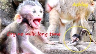 So So pity poor baby Daniela cry angry Ashley steal long time|Daniela cry call mom cuz she so hungry