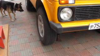 Проверка винтовых блокировок 1 нива