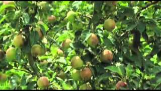 სოფლის მეურნეობა (ნაწილი 3)