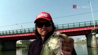 メジャーレイク3 江口俊介がスモラバで攻略!! 霞ヶ浦　バスフィッシング