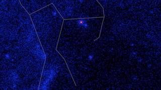 Constellation Orion, visible light to gamma rays - with lines