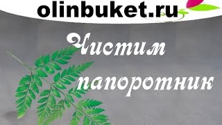 Чистим восьмимартовский папоротник – закулисье магазина цветов