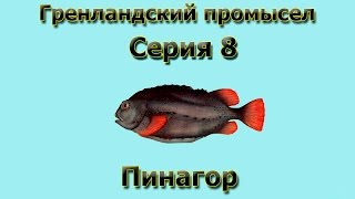 Русская Рыбалка 3.99 Гренландский промысел 8 - Пинагор