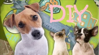 DIY: Como fazer brinquedo para cachorros