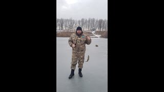 Зимняя рыбалка. Водохранилище Капчагай, Казахстан.