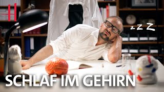 Dr. Mondino: Nachtschicht im Gehirn