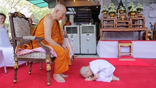ทุบโต๊ะข่าว : ภาพประทับใจ"น้องกร"วัดป่ามณีกาญจน์กราบสังฆราชเผยกิจวัตรช่วยพระก่อนไปเรียน 14/02/60