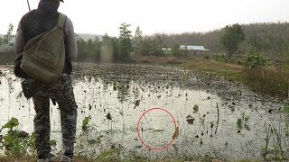 Catching Black Snake Head Fish in the old pond ||​ Fly Fishing 2020 || បបក់ត្រីនៅជិតផ្សារស្លាបលែង