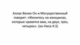 Наставление относительно многоженства - (Шейх Сухайми)