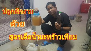น้ำมะพร้าวเทียมสูตรเด็ด