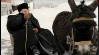 Жириновский лупит осла!