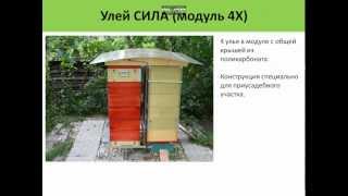 Типы ульев, улей СИЛА