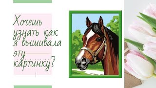 Ковровая вышивка. carpet embroidery. Вышиваем картину "Лошадка". Смотреть до конца!