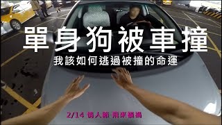 單身狗被車撞!?我該如何逃過被撞的命運 / 螞蟻跑酷