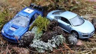 Мультики про машинки Субарик и Лёлик в весеннем лесу Развивающие мультики