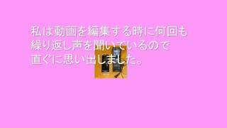 以前おちょくった架空請求詐欺師とまた会ってしまった