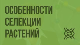 Особенности cелекции растений. Видеоурок по биологии 9 класс