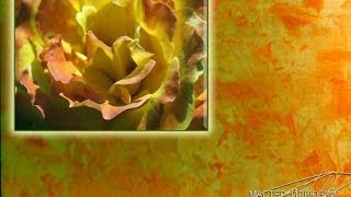 Венецианская ДЕКОРАТИВНАЯ МАРОККАНСКАЯ Штукатурка Мастер классы VENETIAN PLASTER Урок 01