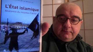 L'Etat islamique (Olivier Hanne, Thomas Flichy de la Neuville)
