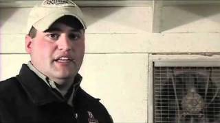 Clipping Show Pigs Part 2
