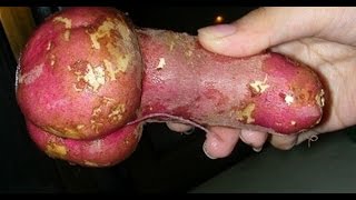 Необычные формы