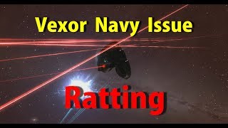 Multiple Vexor Navy Issue Ratting using a Target Painter - EVE Online