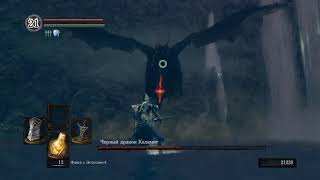 Dark souls I. Босс Черный дракон Каламит